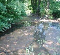 Pendik'te kanalizasyon atıklarının Ömerli Barajı'na aktığı iddia edildi