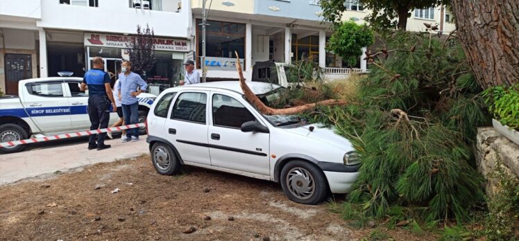 Sinop'ta fırtına ağaçları devirdi, çatıları uçurdu