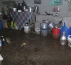 Van'ın 2 ilçesinde sel nedeniyle evleri su bastı, küçükbaş hayvanlar telef oldu