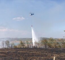 GÜNCELLEME – Adana'da ağaçlık alanda çıkan yangın kontrol altına alındı