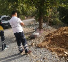 Adana'da ağaçtan düşen kişi hayatını kaybetti