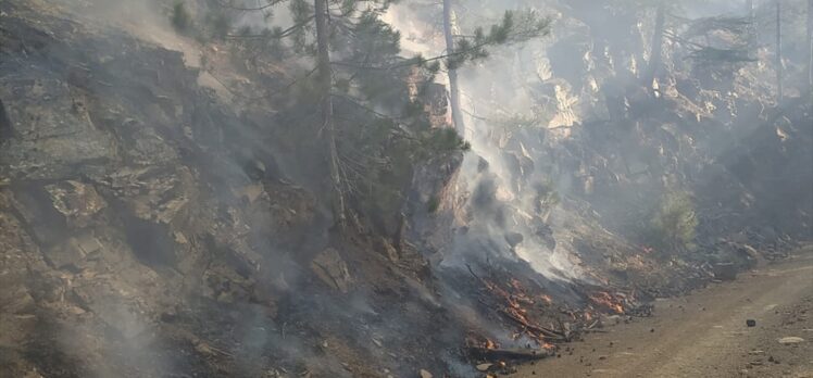 Adana'da çıkan orman yangınına havadan ve karadan müdahale ediliyor