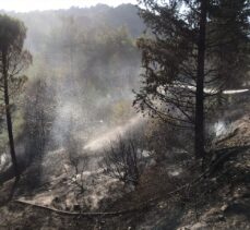 GÜNCELLEME – Amanos Dağları'nda çıkan orman yangını kontrol altına alındı