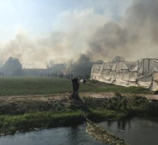 Antalya'da sazlık alana sıçrayan anız yangınına müdahale ediliyor