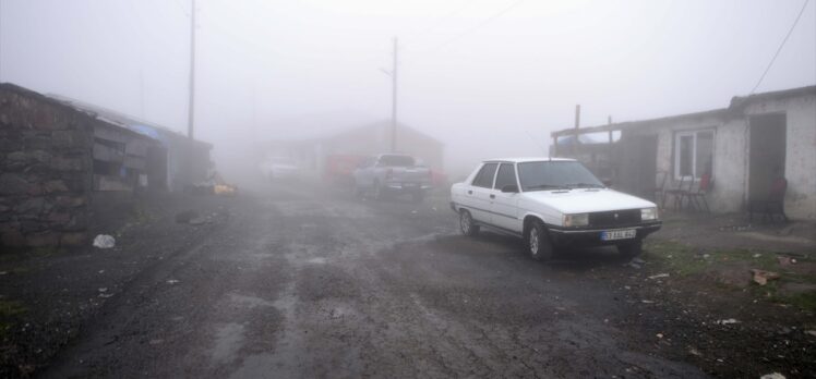 Ardahan'da sis ve soğuk hava etkili oluyor