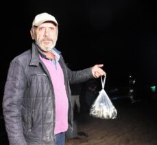 Batı Karadeniz'de tonlarca balık kıyıya vurdu; eline çuvalı, kovayı alan sahile koştu