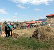 Bayburt'taki “Harman Festivali”nde 100 yıllık tarım aletleriyle hasat yapıldı