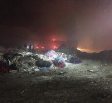 GÜNCELLEME – Bilecik'te çöplük alanda çıkan yangın kontrol altına alındı
