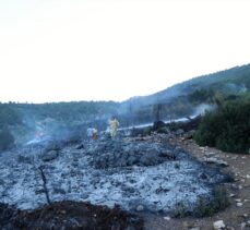 GÜNCELLEME – Burdur'un Bucak ilçesinde orman yangını çıktı