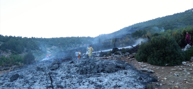 GÜNCELLEME – Burdur'un Bucak ilçesinde orman yangını çıktı