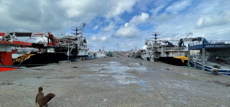Karadenizli balıkçılar kötü hava koşulları yüzünden Sinop limanına sığındı