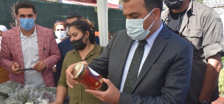 Kars'ta girişimci kadınların el emeğiyle hazırladığı yöresel ürünler satışa sunuldu