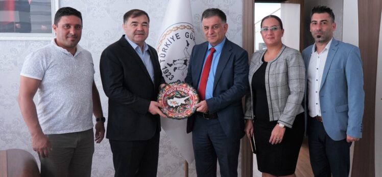 KKTC Güreş Federasyonu Başkanı Öznacar'dan Türkiye Güreş Federasyonu Başkanı Musa Aydın'a ziyaret