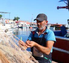 Marmara'da balıkçıların ağında palamudun yerini lüfer aldı