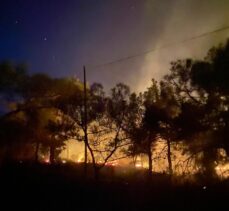 Mersin'de çıkan orman yangını kontrol altına alındı