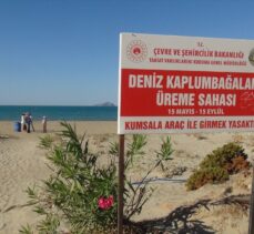 Mersin'de deniz kaplumbağalarının yaşam alanları temizlendi
