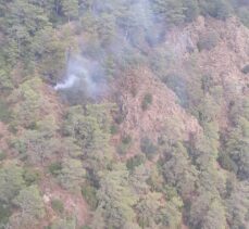 Muğla'da 11 noktada çıkan orman yangınları kontrol altına alındı