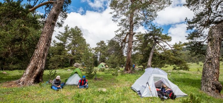 Sivas'ın yaylaları kamp turizminin yeni gözdesi oldu