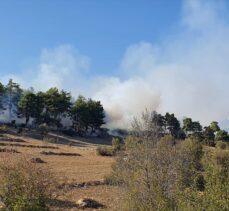 Tarsus'ta çıkan orman yangını kontrol altına alındı