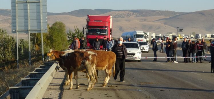 Afyonkarahisar'da otomobille kamyonetin çarpışması sonucu 3 kişi öldü, bir kişi yaralandı