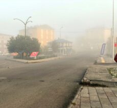Ardahan'da yoğun sis etkili oldu