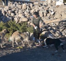 Baraj nedeniyle boşaltılan köyde sahipsiz kalan köpekler destek bekliyor