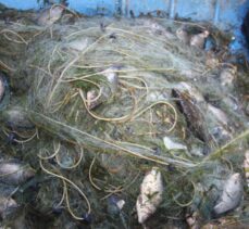 Beyşehirli balıkçılar Çin sazanıyla yurt dışına açıldı