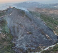 Bodrum'da çıkan yangında 5 hektar makilik alan zarar gördü