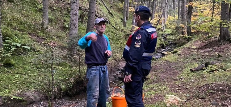 Bolu'da mantar toplamak isterken ormanda kaybolan 2 kişi bulundu