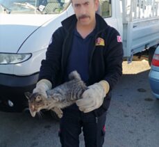 Erzincan'da kamyonetin motoruna sıkışan kediyi itfaiye kurtardı