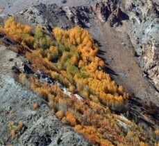 Erzincan'ın yüksek kesimlerinde sonbahar renkleri havadan görüntülendi