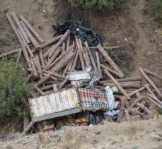 Eskişehir'de dereye düşen tomruk yüklü kamyonun sürücüsü öldü