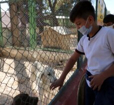 Gaziantep'te öğrenciler barınaktaki sokak hayvanlarını ziyaret etti