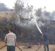 İzmir'de çıkan orman yangınları kontrol altına alındı
