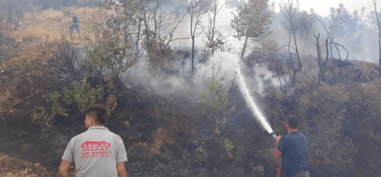 İzmir'de çıkan orman yangınları kontrol altına alındı