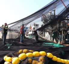 Karadenizli balıkçılar Marmara'da “lüfer” peşinde