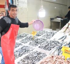 Samsun'da hamsinin kilogramı 15-20 liradan satılıyor