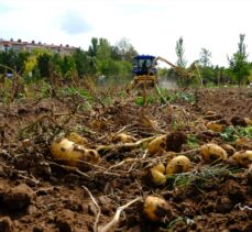 Sivas'ta solucan gübresi kullanılan arazide patates verimi arttı