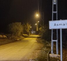 Adana'da iki mahallede “mavi dil hastalığı” nedeniyle karantina uygulandı