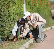 Antalya'da alzaymır hastaları için aromatik bitki bahçesi oluşturuldu