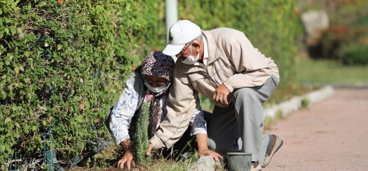 Antalya'da alzaymır hastaları için aromatik bitki bahçesi oluşturuldu