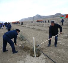 Azerbaycan'da “Geleceğe Nefes” kampanyası kapsamında 111 bin fidan dikildi
