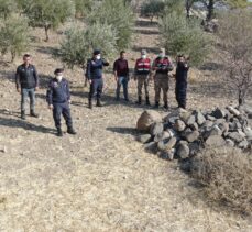 Kilis'te kaybolan hayvanlar drone ve termal kamera yardımıyla bulundu