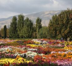 Tahran sakinlerine nefes aldıran mekan: “İran Milli Botanik Bahçesi”