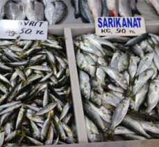 Tekirdağ'da balıkçılar sis nedeniyle açılamayınca balık fiyatları arttı