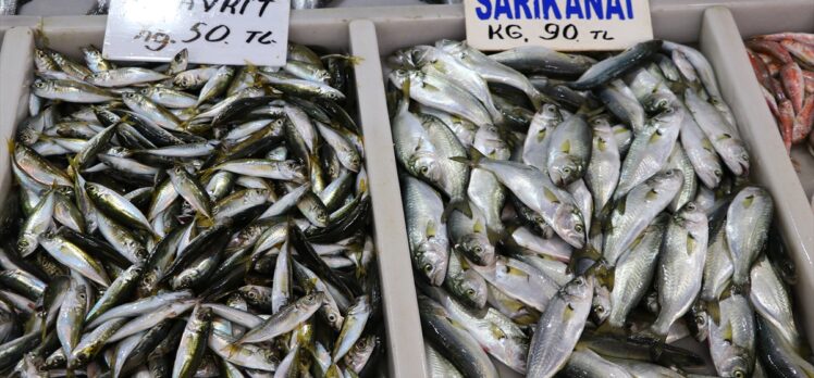 Tekirdağ'da balıkçılar sis nedeniyle açılamayınca balık fiyatları arttı