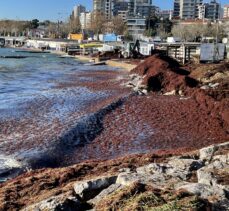Fırtınanın ardından Caddebostan sahilini kaplayan kırmızı yosunlar toplanıyor