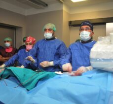 İranlı doktorlar Adana'da kalp kapak değişimi uygulaması eğitimi aldı