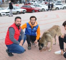Kırşehir ve Sivas'ta Dünya Gönüllüler Günü dolayısıyla etkinlik düzenlendi