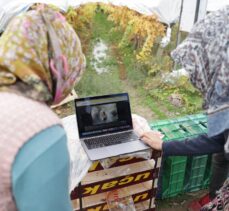 Manisa'da üzüm işçileri AA'nın “Yılın Fotoğrafları” oylamasına katıldı